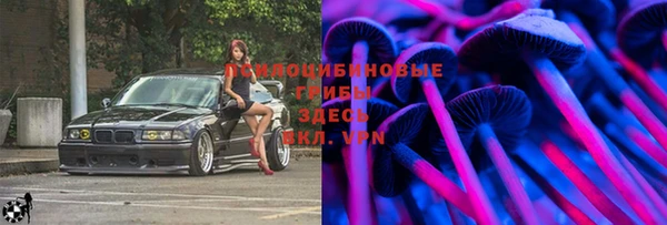 Альфа ПВП Аркадак