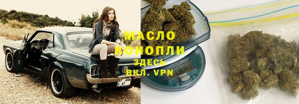 СК Алексин