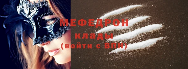 СК Алексин