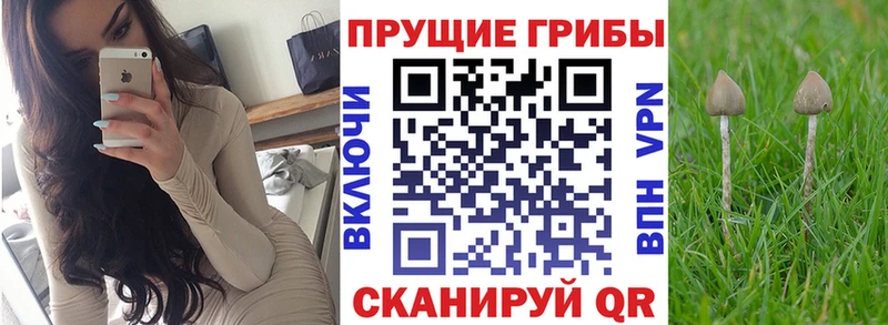 Галлюциногенные грибы прущие грибы  МЕГА ссылка  Находка  даркнет сайт 