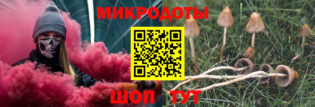Псилоцибиновые грибы GOLDEN TEACHER Находка