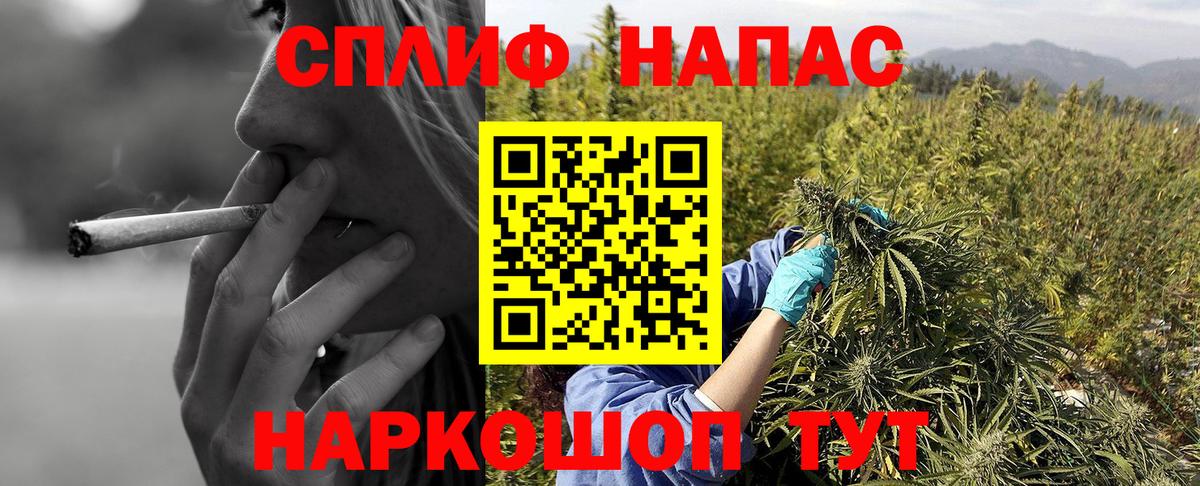 Находка  Конопля планчик  Каннабис сатива  Вход с VPN 